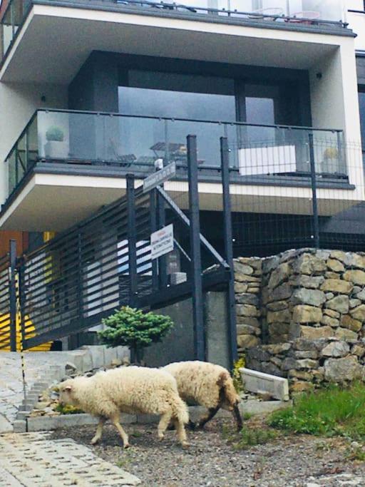 Ski & Bike Apartment シュチルク エクステリア 写真